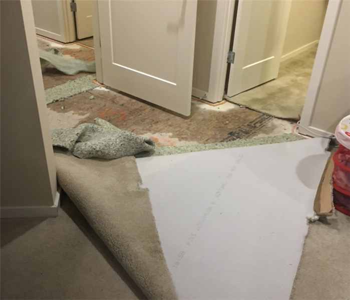 Water damage under carpet in a home.